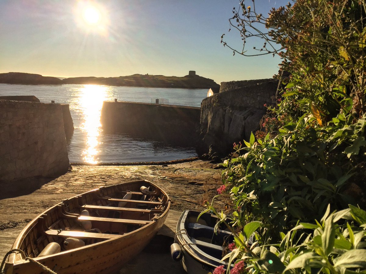 Around Dalkey tweet media