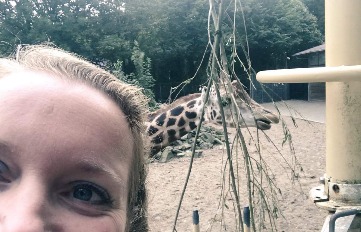 Present! Studiedag jungle aan trends...in Ouwehands dierenpark. Leuk voor het schoolreisje volgend jaar! Op naar de reuzenpanda... uuuh herstel.. lezing van o.a Arie slob #schoolleidersregister