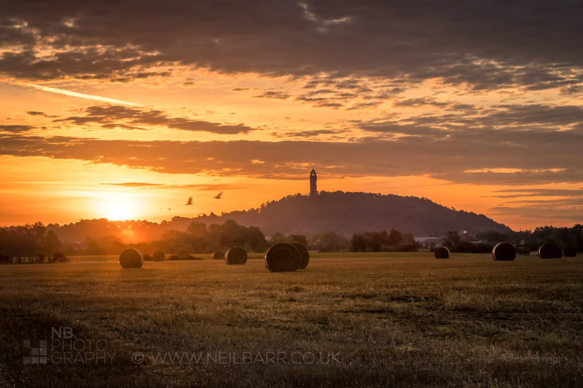 The National Wallace Monument
The National Wallace Monument from the Carse of Lecropt near sunrise.
neilbarr.co.uk