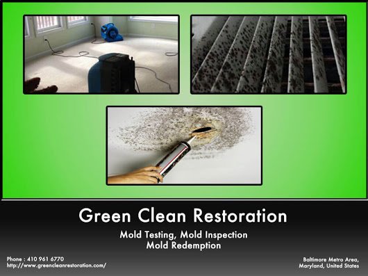 GreenCleanRest1 tweet picture