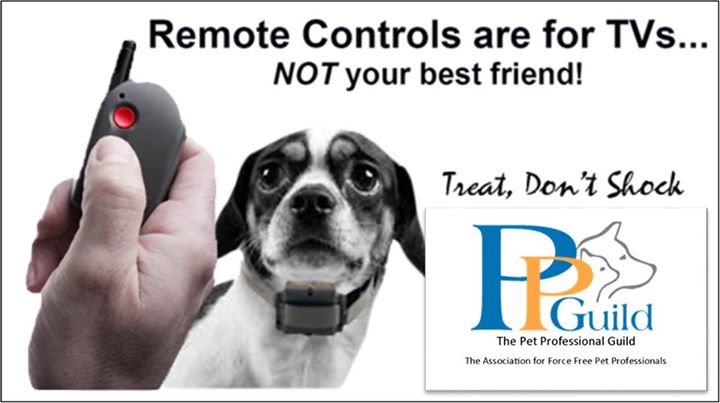 PetGuild's tweet image. Happy force-free Friday! #cats #dogs #horses #dogtraining #forcefree #forcefreedogtraining #animalbehavior petprofessionalguild.com/MembershipBene…