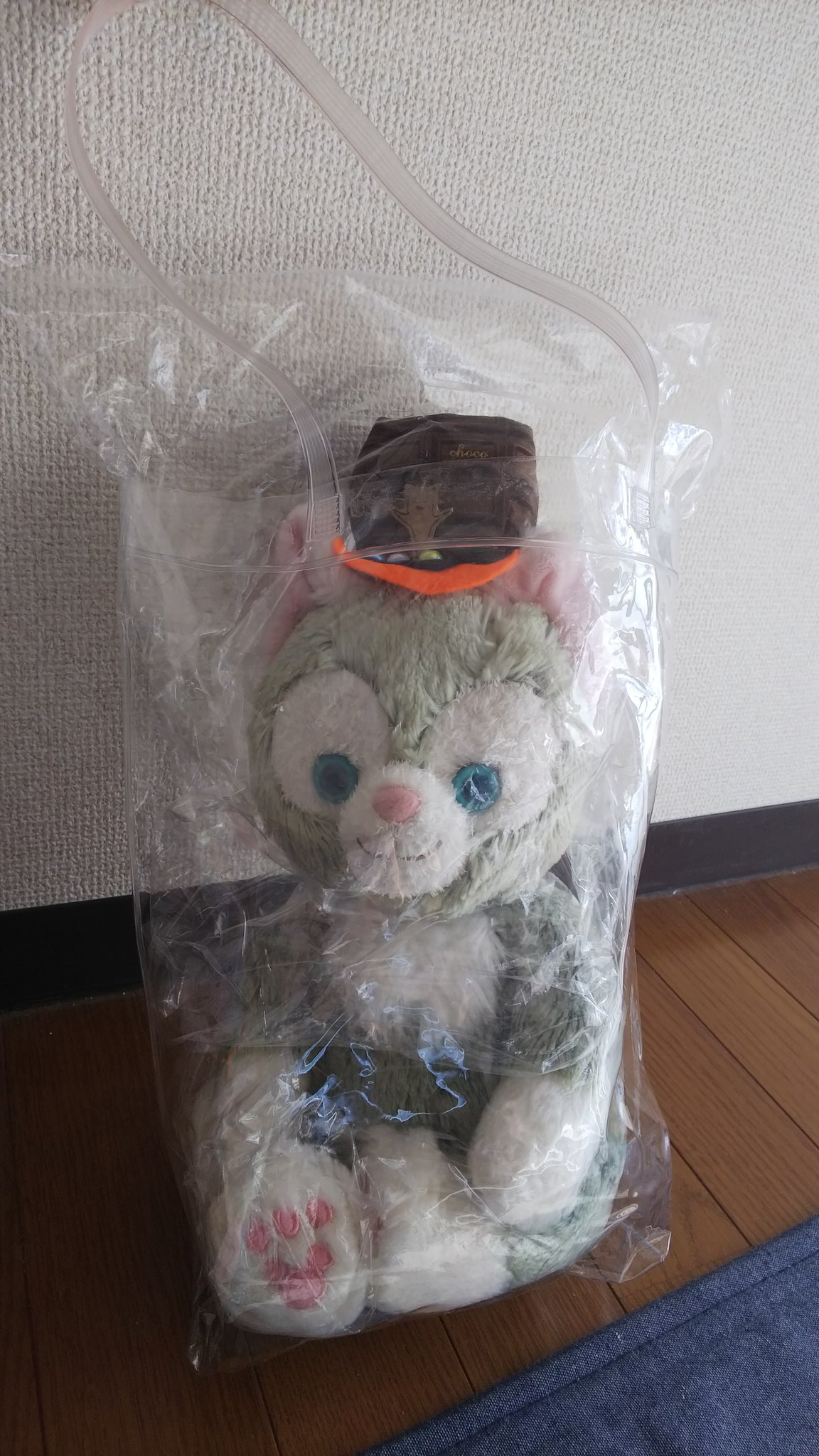 星愛 No Twitter 雨の日にどうしてもぬいぐるみを持ち歩きたい時 準備するもの 透明な袋 今回はセリアのキッチンポリ袋30 30くらい 透明なバッグ 今回はセリアのクリアバッグ30 くらい 透明なテープ セロテープより太いの 手順 次のツイートへ T