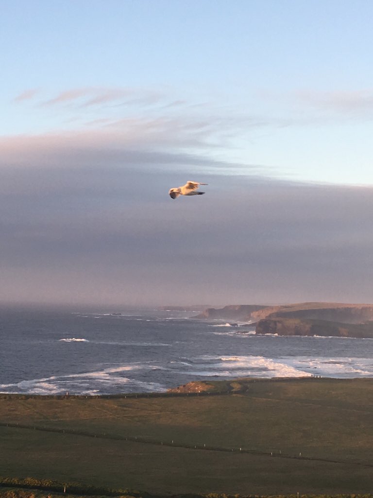 CillianKilkee's tweet photo. The #KilkeeCliffs Don’t just come to visit us, come to live and work.#remoteworking https://t.co/g26oAMilc0