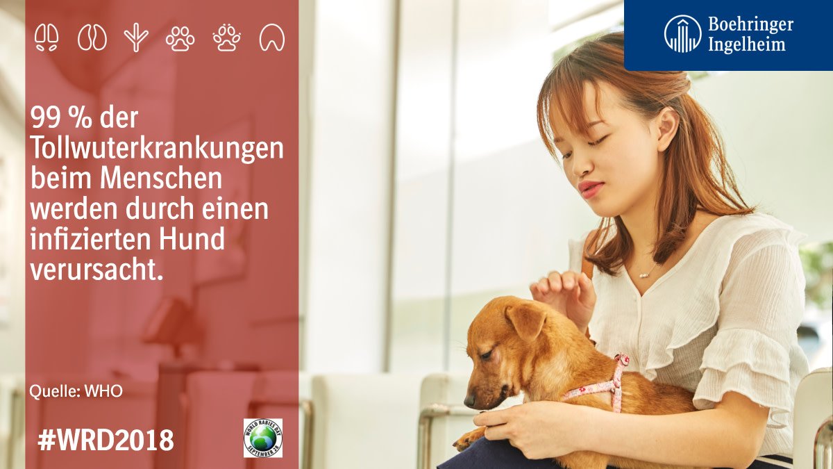 #Presse: Welt-Tollwut-Tag - in vielen Teilen der Welt ist #Tollwut für Tiere &amp; Menschen immer noch sehr gefährlich bit.ly/2OlfJea #WRD2018