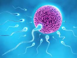 AndrologyGyn's tweet photo. Read about #PCOS from #Conception to #Menopause in our Journal: Andrology &amp; Gynecolgy: Current Research.
Link pertaining to it: https://t.co/JObOBg93cd https://t.co/0yBWO8XhIy