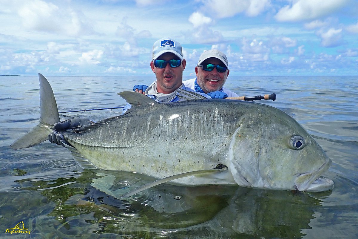 flycastaway's tweet photo. This is a #ProvidenceAtoll tank to end the week. Find us a picture of a bigger #GT.. we dare you. This thing eats submarines! #HelloBacking #TestedTough #WildCoolers https://t.co/HrggDthATS