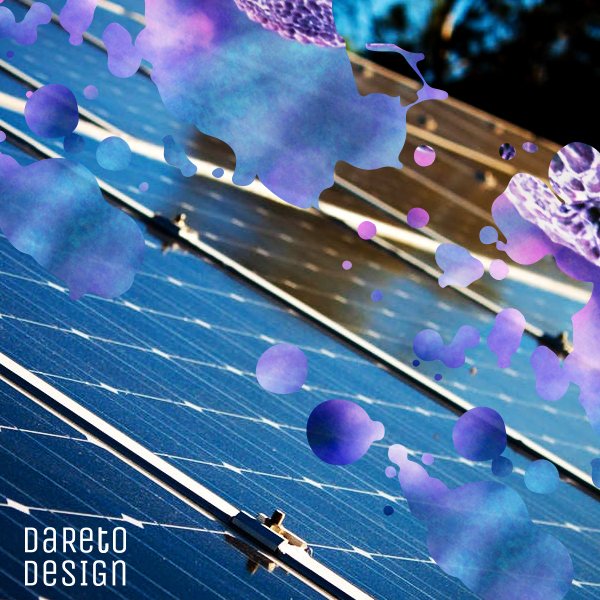 Wist je dat bij Dare to Design duurzaamheid hoog in het vaandel staat?