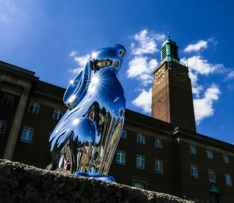 GoGoSafari tweet media