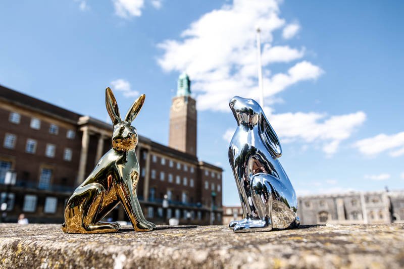 GoGoSafari tweet media