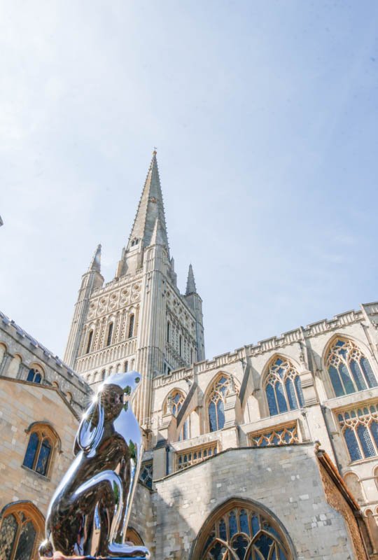 GoGoSafari tweet media