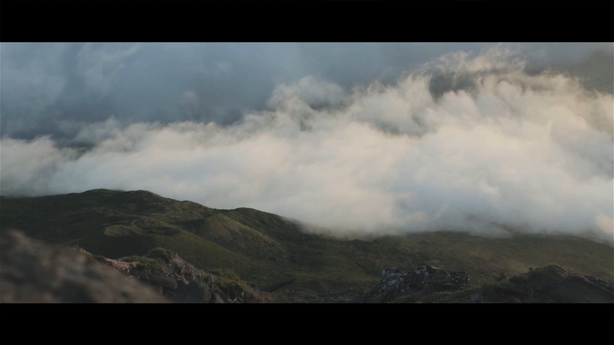 thearchplayer's tweet photo. #theArchPlayer | #ArchitectureClips
A landscape in the mist. "Become ocean" by Miguel C Tavavers. Architecture by @nunopimenta_ for @walktalk_azores . Story by @sara_marzullo
https://t.co/T7jJ6K0gIF https://t.co/E54H9A7I7c