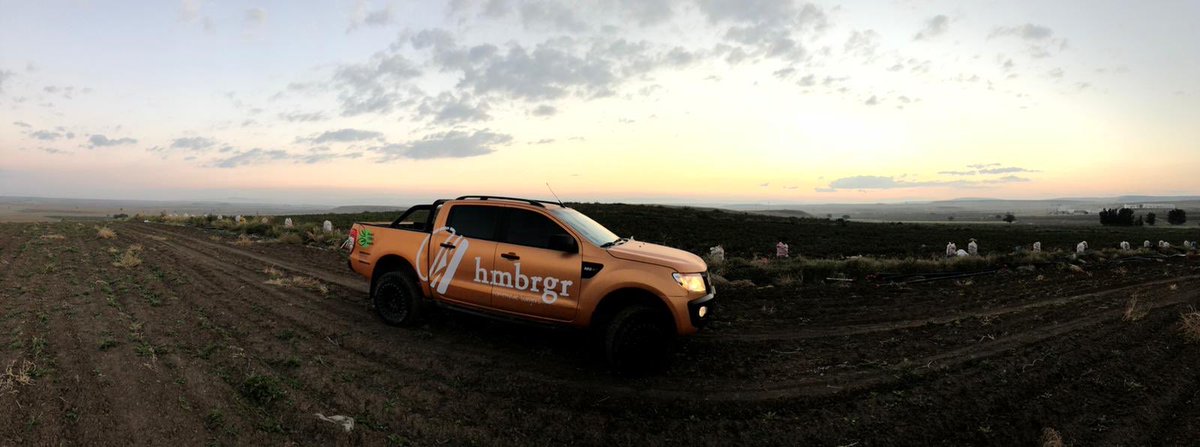 Hmbrgr ekibi olarak tarlada çiftçilerle #gerçekpatatesinpeşinde yiz💪🏻
En kaliteli tohumlardan taze taze kendi patatesimizi üretiyoruz artık🌿 Çünkü #anneköftesi ne de bu yakışır!☺️🍔
#anneburgeri #tazepatates
#katkısızhamburger
#ankarahamburger
#ankaradaneyenir