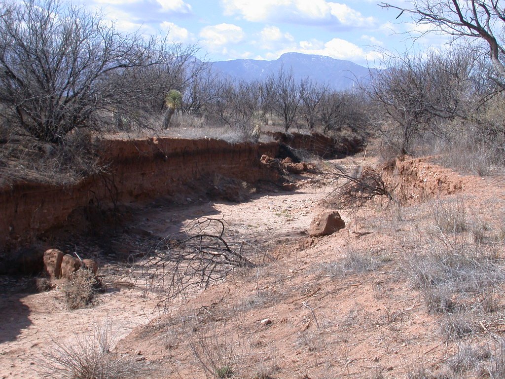 разрушение почвы ветром. почву могут разрушать 3 класс. презентация на тему охрана почв. разрушение почвы человеком. эзория почтв.