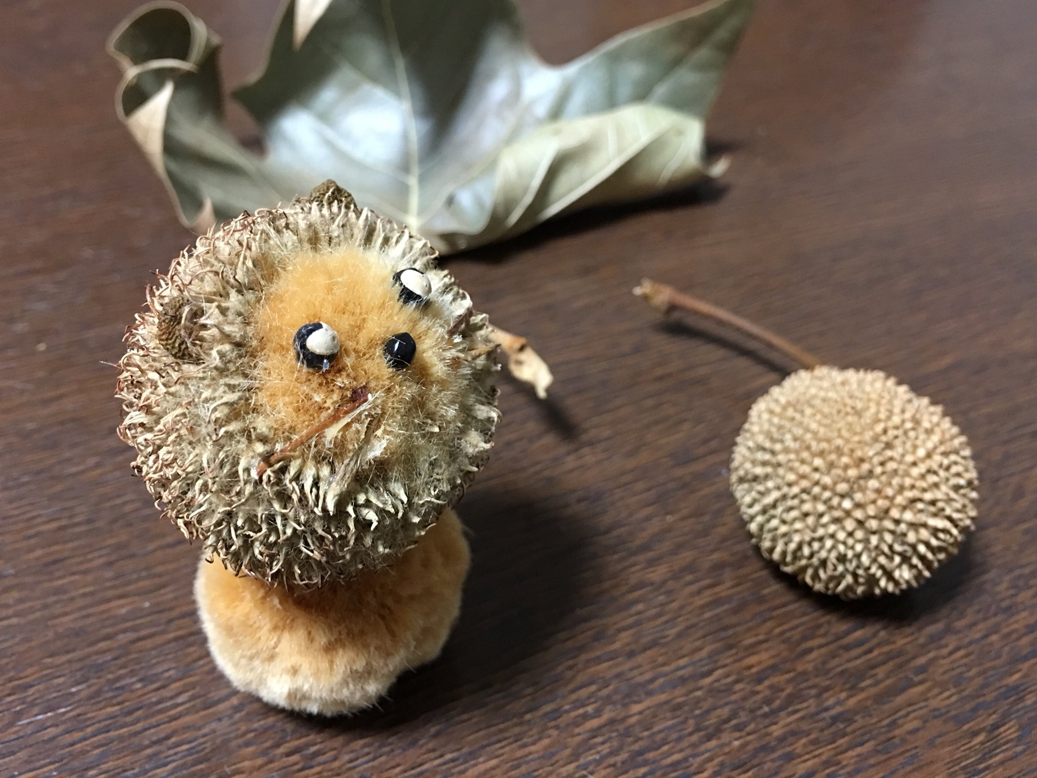 Inori 近所のお友達が草花あそびに来てくれて スズカケノキの実でライオンを作ってくれました フウセンカズラの実のハートの目が可愛いです T Co Mob6qbr7ii Twitter