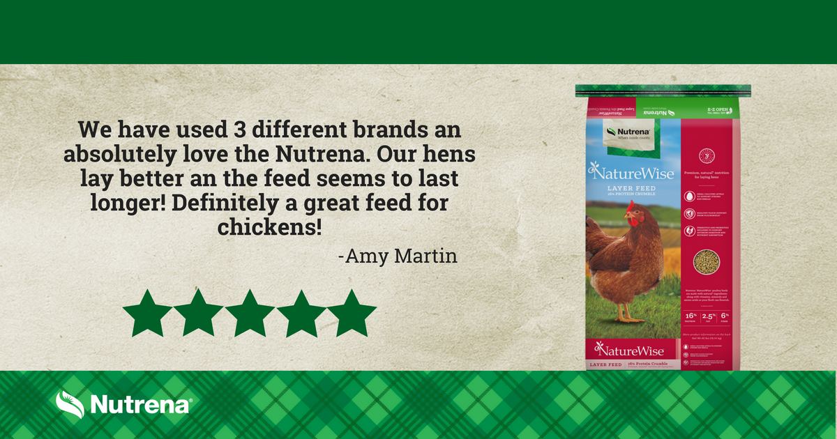 RosedaleMills's tweet photo. Come visit us for your Nutrena NatureWise poultry feed needs. Try it today! https://t.co/cSZijy6yNt https://t.co/qGd96Tsub5