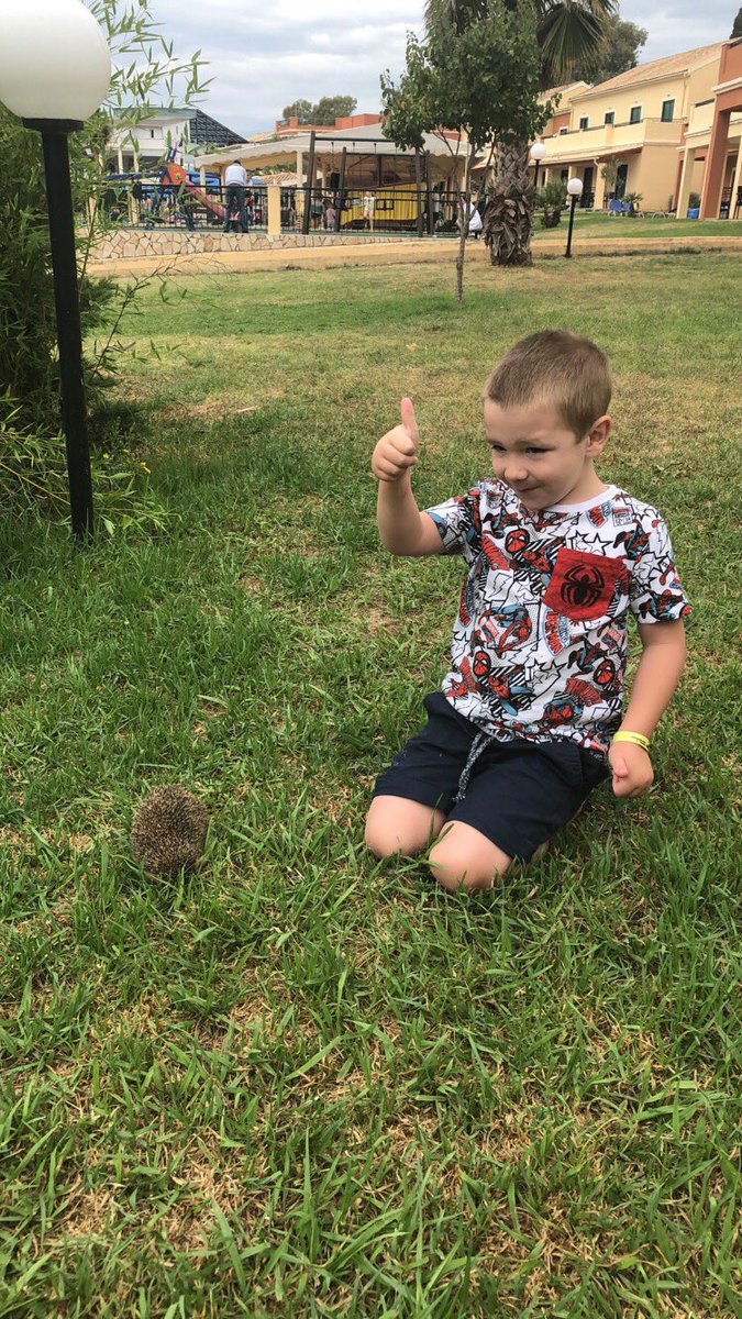 Rhiannon tweet media