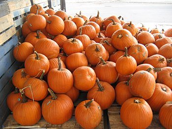 October Updates drinkerswithwritingproblems.com/2018/09/28/oct…