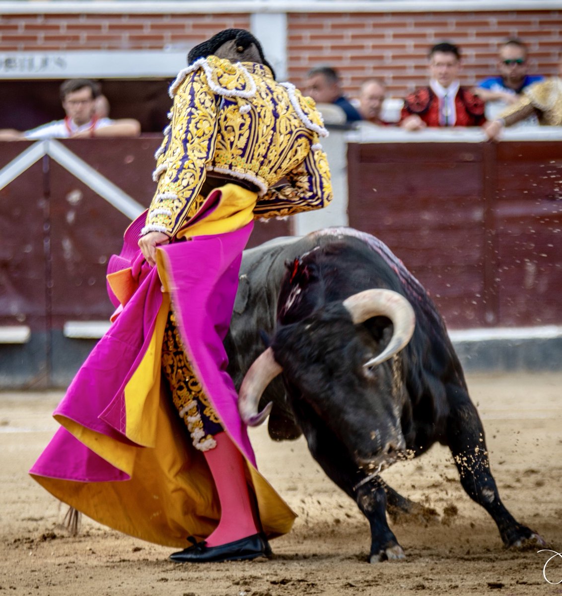 Al primer toro, que recibió con verónicas ajustadas rematadas en los medios, hubo un quite de lujo: verónicas y chicuelinas de manos bajas, quieto cual estatua enroscándose el toro al cuerpo. Con suavidad exquisita dentro de la tónica que marcó <a href="/Alvaro1Garcia/">Álvaro García</a> 

📷 @oscarmanuelsa