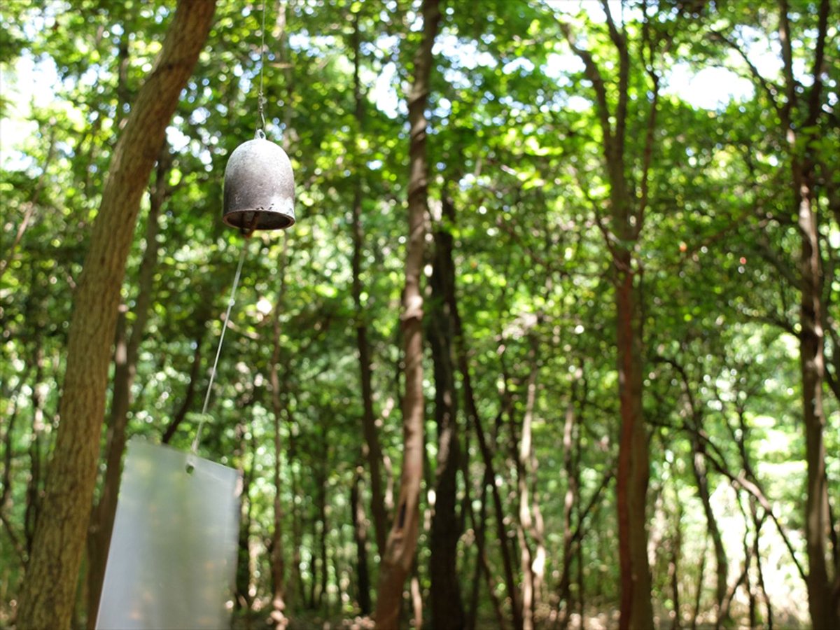 nanouk's tweet image. La forêt des murmures #Art #design1o1 #architecture1o1 (remembering #inthewoods) Benesse Art Site Naoshima buff.ly/2OlJGuw