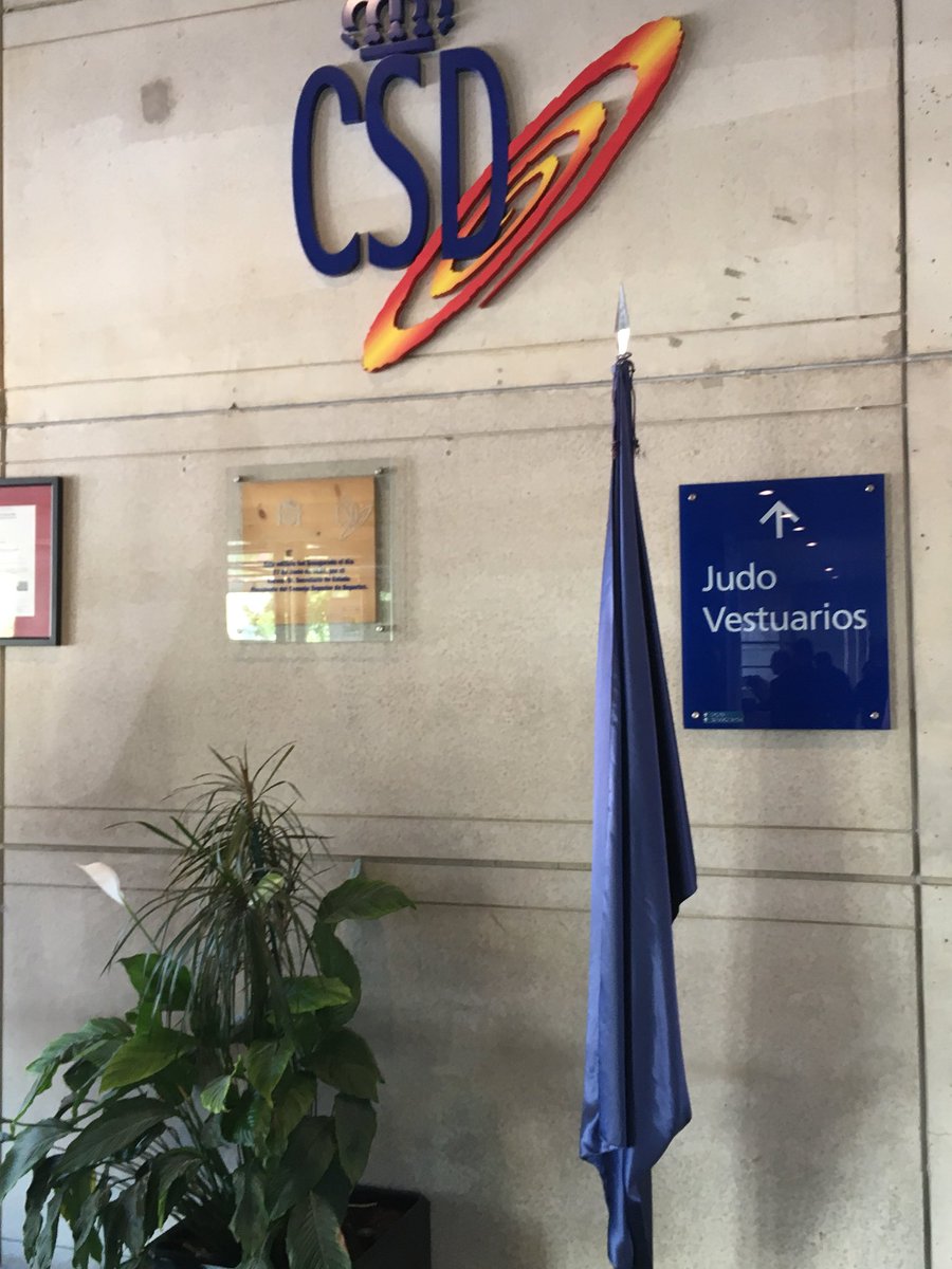 dr_mtjones8's tweet photo. Thank you @RocioCupeiro for a wonderful tour of the high performance center and sports science museum @inefmadrid #INSCA2018 https://t.co/8BFsl4i6o1