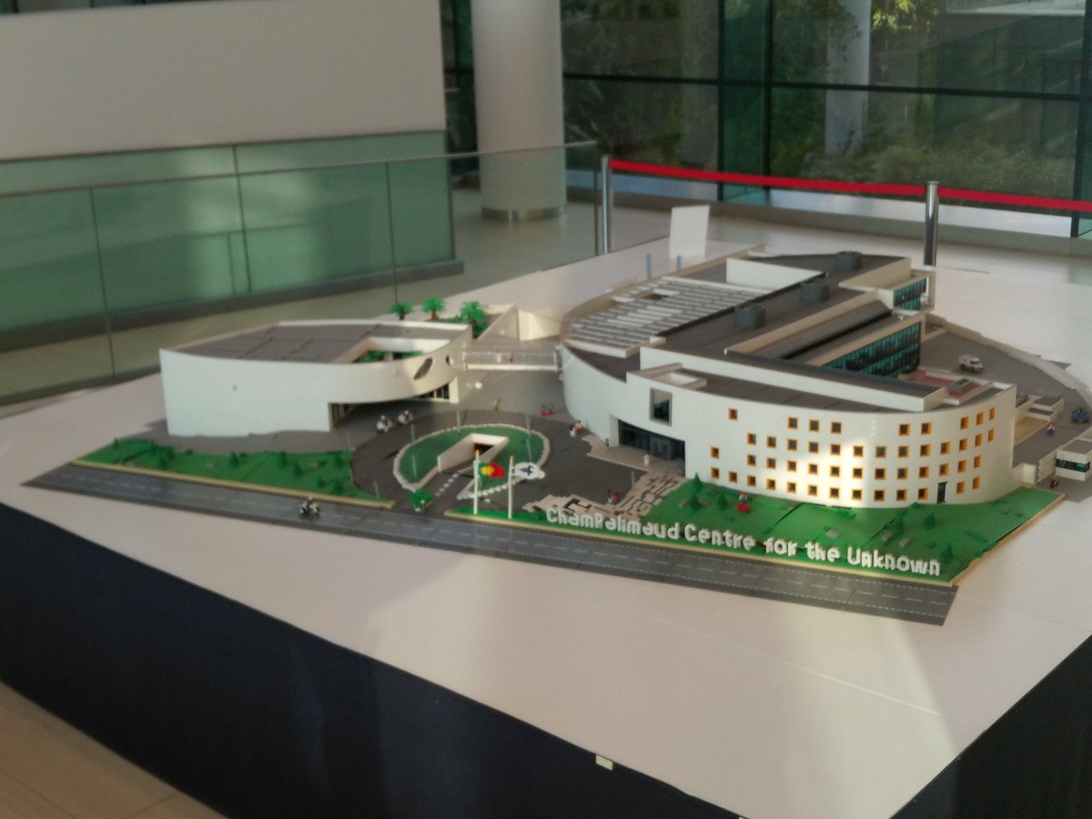 Bookie phronesis 🇬🇧🇨🇦🇮🇪🇳🇬 tweet media