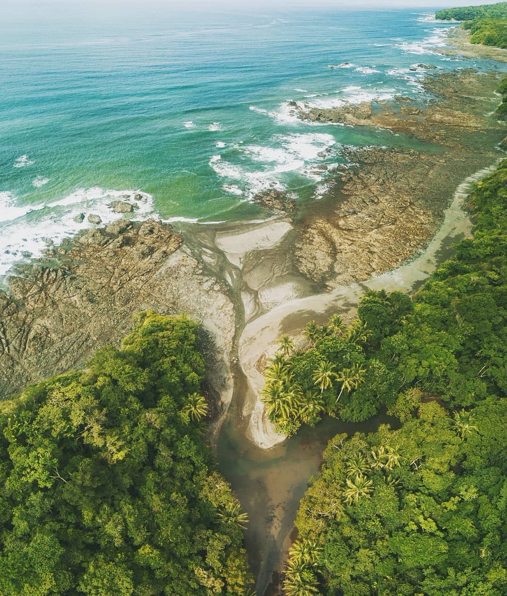 ATP_panama's tweet photo. #Repost @cebaco_sunrise
・・・
La magia de la naturaleza desde Isla Cébaco en el Golfo de Montijo, provincia de Veraguas @cebaco_sunrise #islacebaco #cebacoisland #cebaco #cebacosunrise #veraguas #panamá #panama #nature #sea #solotravel #MeetTheWorld #travelstoke #TraveLibro https://t.co/l6JJg5Eg1T