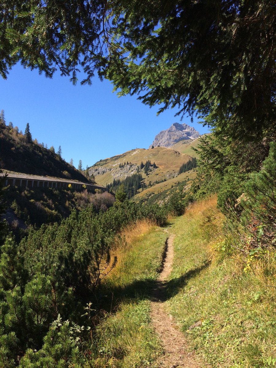 Kurzer #trailrun von Warth dem Krumbach nach über den Hochtannbergpass nach Schröcken. #vorarlberg