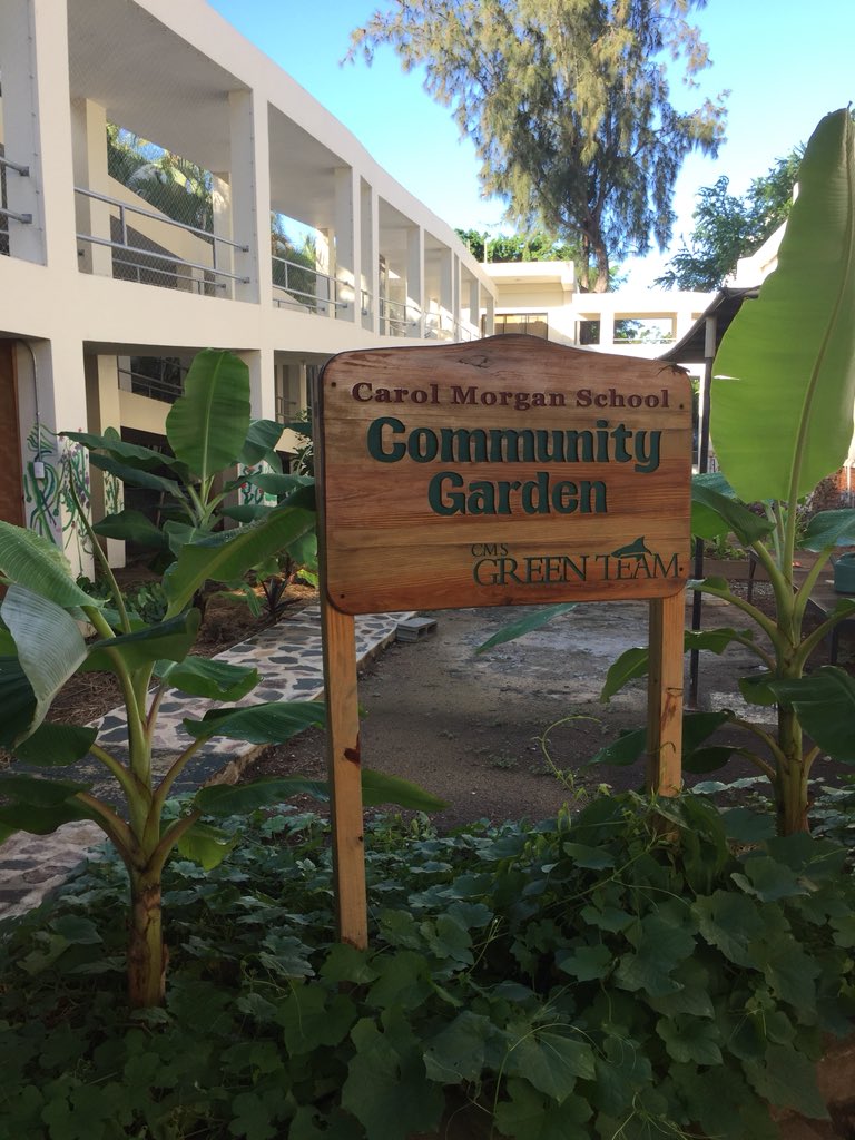 shegrows2's tweet image. Tri conference is happening! Check out the garden today. Walk between the ES and MS to find a little slice of DR paradise! #Triconf18