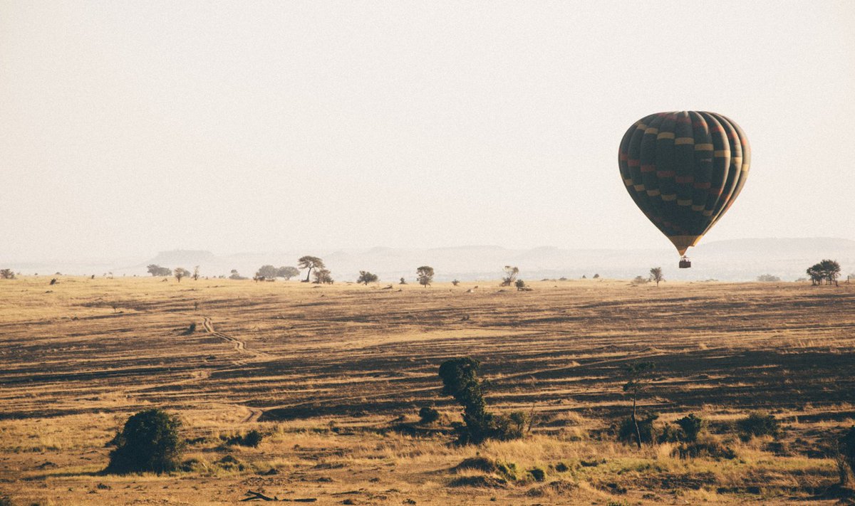 InhalationMark's tweet image. JOIN THE ADVENTURE! SEE OUR FIVE FILMS taking you into the Ziccum  investment case, on #formulating new dry powder #vaccines and #biologics ziccum.com/investors/pres…