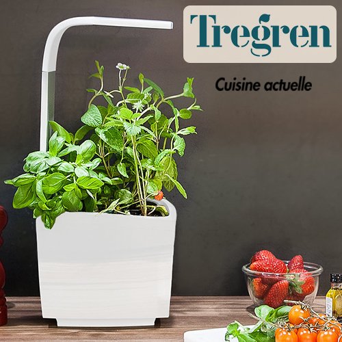 TregrenFrance's tweet photo. Gagnez votre potager connecté en partenariat avec @cuisineactuelle
Lien pour y participez : https://t.co/rcM5qV7Wg7 https://t.co/Ir8xiZV9Wk