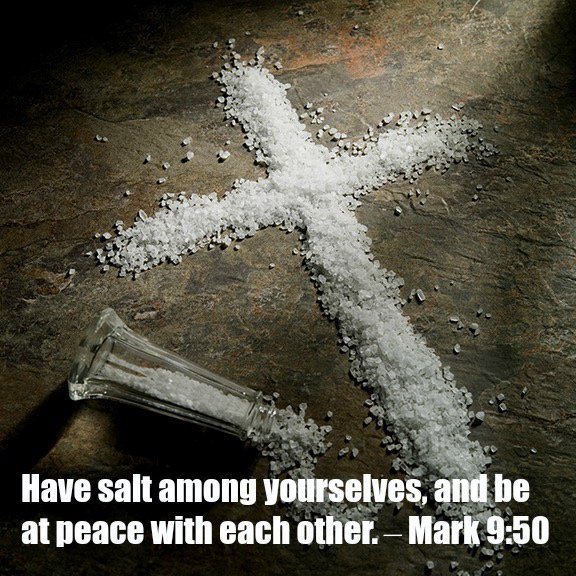 St. Matt's this Week - September 28 <a href="/laurenahodgson/">Lauren Hodgson</a> - mailchi.mp/f792b777177b/s…