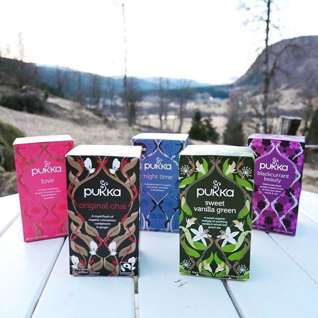 XplorePaleo's tweet photo. There's never a bad time for #tea! :) @Pukkaherbs is one of my favorite tea brands with Licorice Mint, Sweet Vanilla Green, Night Time, and Love flavors at the top of my favorites. :)
#herbaltea #organic #healthylife #drinktea #guiltfree #tealove #pukka … https://t.co/oBEPZeIvVF https://t.co/ndCuAqjQvs