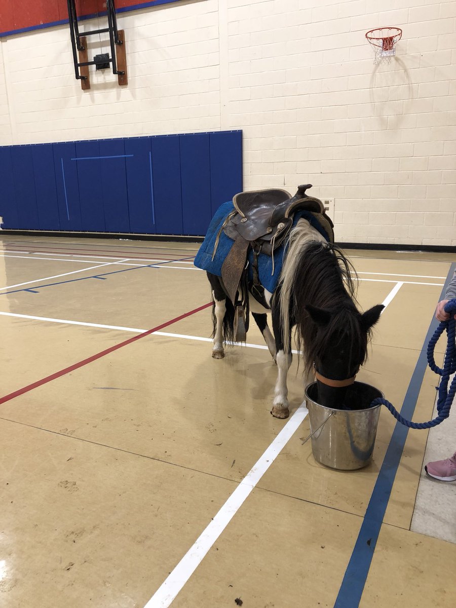 sandradsteeves's tweet photo. We do things differently here at Magnetic Hill.  Hands on learning.  #asdelearns #magnetichill @boylefamilyfarms https://t.co/0yT8R6BRRE