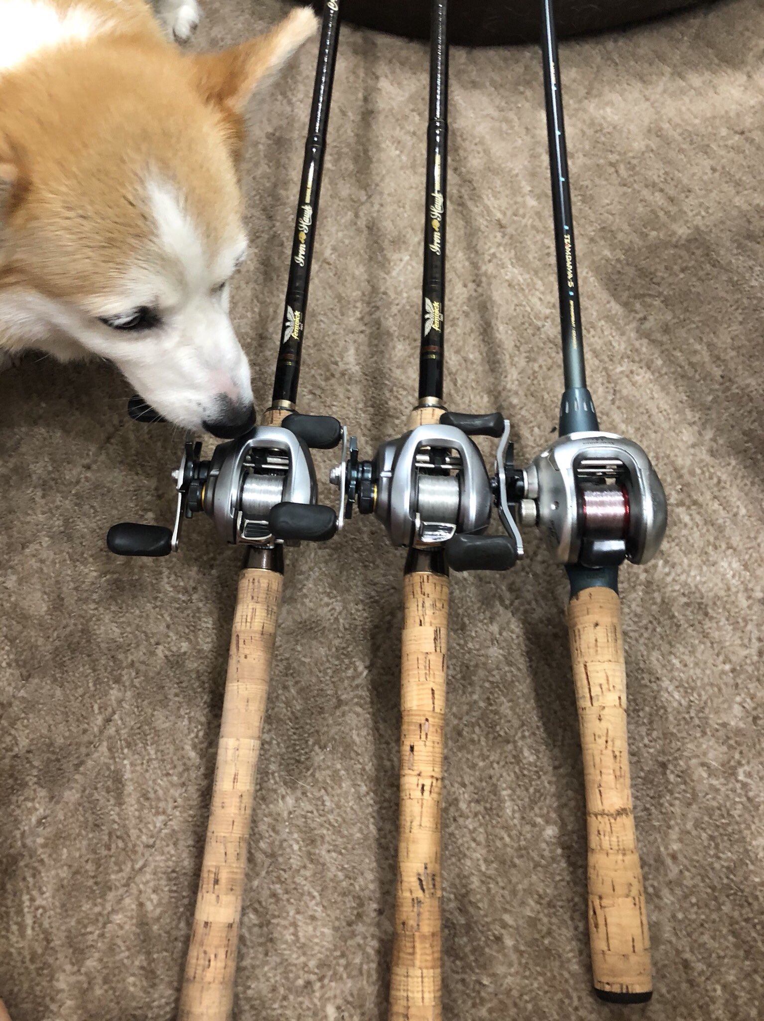 Daiwa TD-BA 601LSS バスロッド 6フィート 美品 ダイワ TDバトラー TD-BA 601LXS スカイフラッシュ/L305