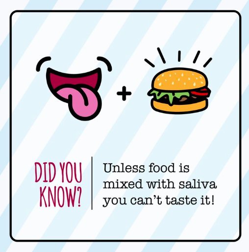 SpringSproutDDS's tweet image. Fun Fact Friday: You can't taste food unless it's mixed with saliva!