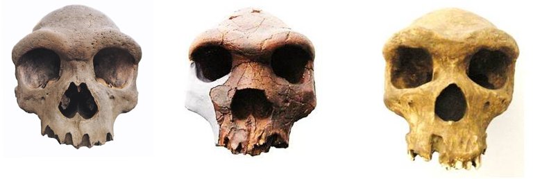 Roberto Sáez tweet media