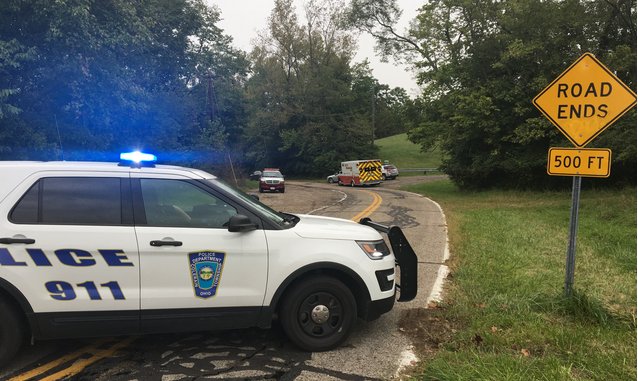 Ver imagen en Twitter