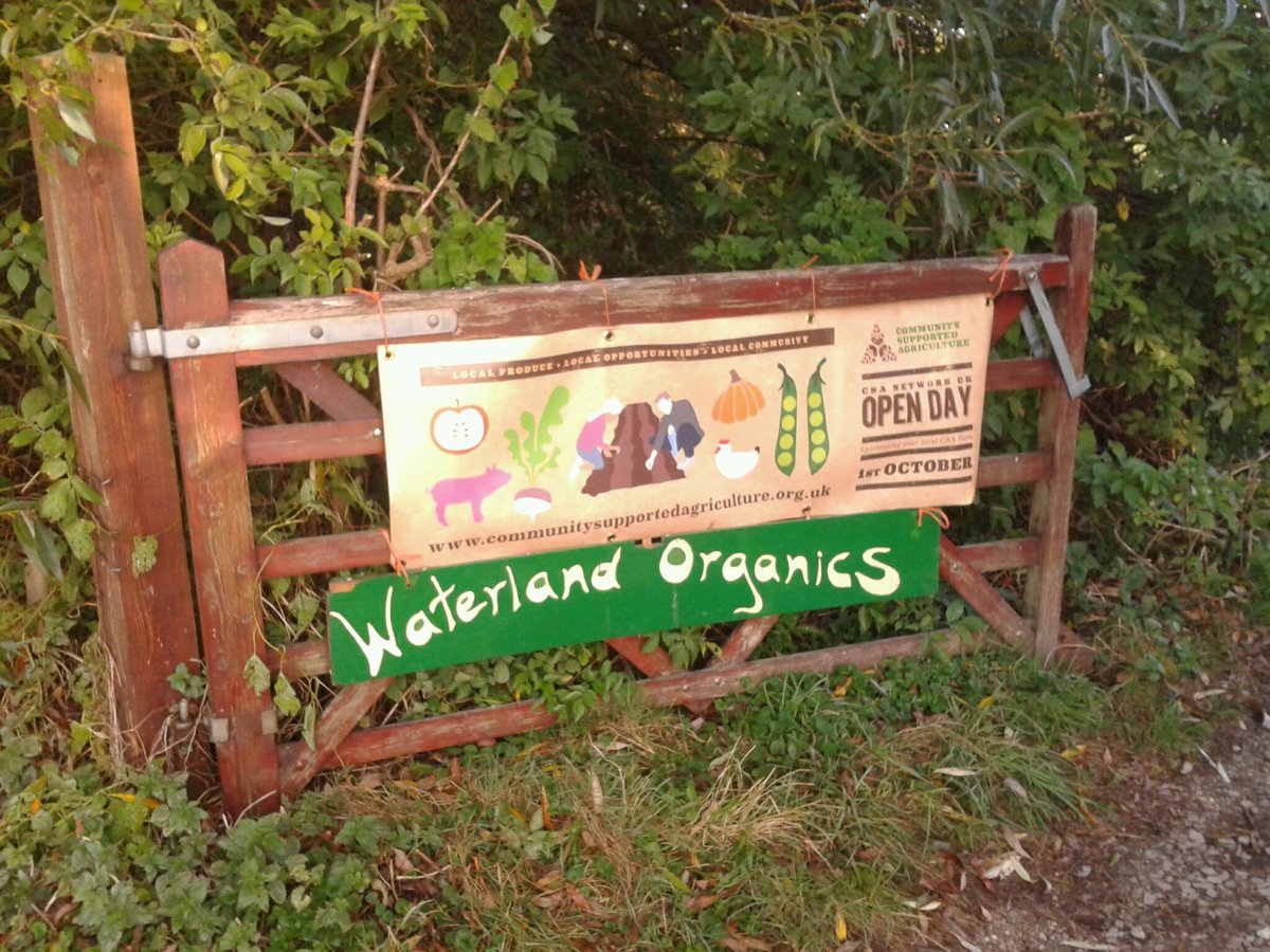 Its been great to have our volunteer days with an air of celebration for <a href="/CSANetwork/">CSA Network UK</a> Community Supported Agriculture <a href="/waterlanderman/">Waterland Organics</a> along with other CSAs around the UK this Sept. Look forward to continuing celebration in Oct! communitysupportedagriculture.org.uk/promotingcsa/o…