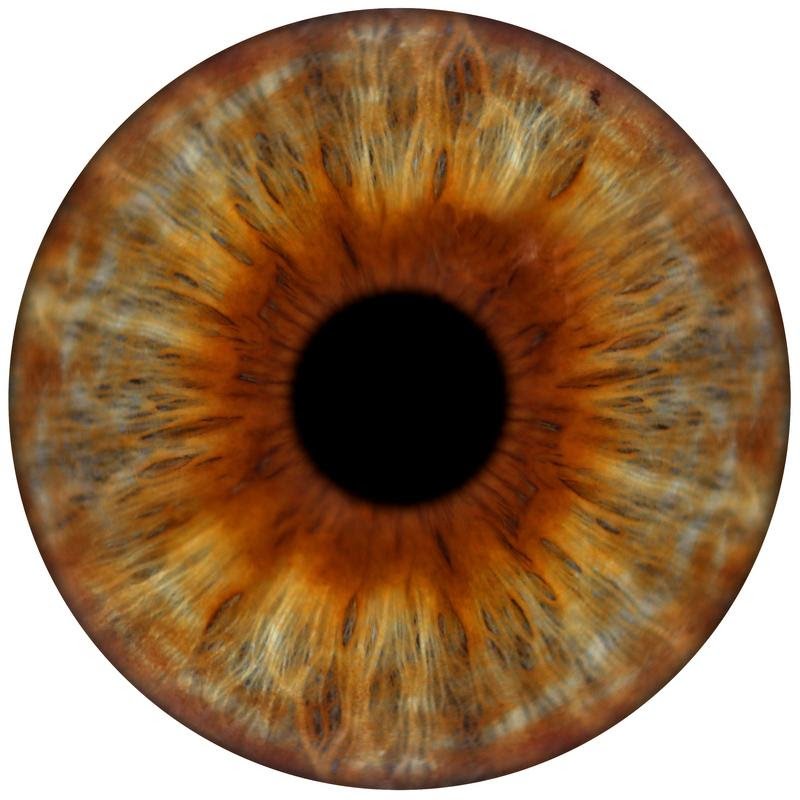 zoelovesgin's tweet photo. #eyeconart #visionexpress https://t.co/aSQkF5ZkGe