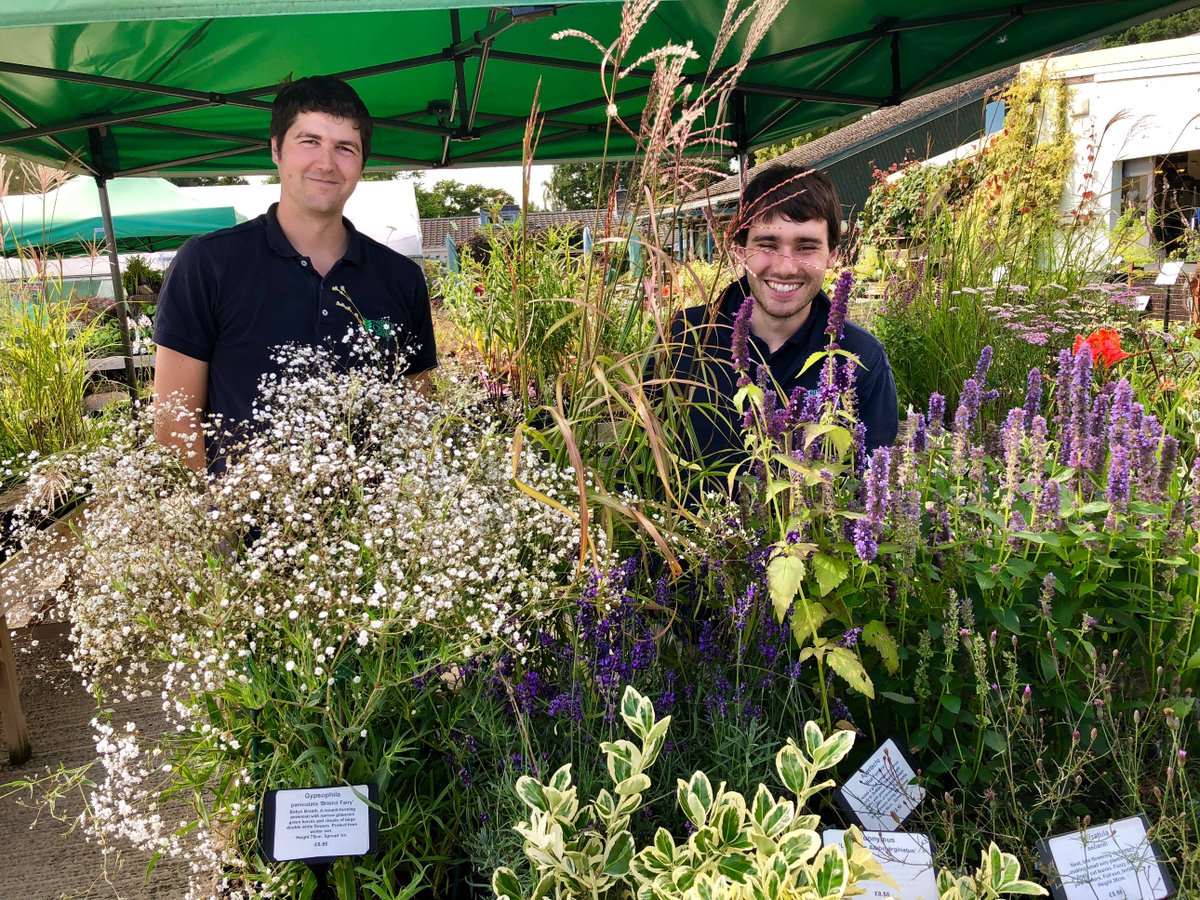 BethChattoGdns's tweet photo. Jake and Ben would like everyone to know that some of the plants we send out via mail-order will be in recycled pots: we clean them thoroughly before reusing.
https://t.co/axeHuGQ674
Working against #plasticpollution.
#gardenersworld
#plasticpots https://t.co/N2sdc5No6X