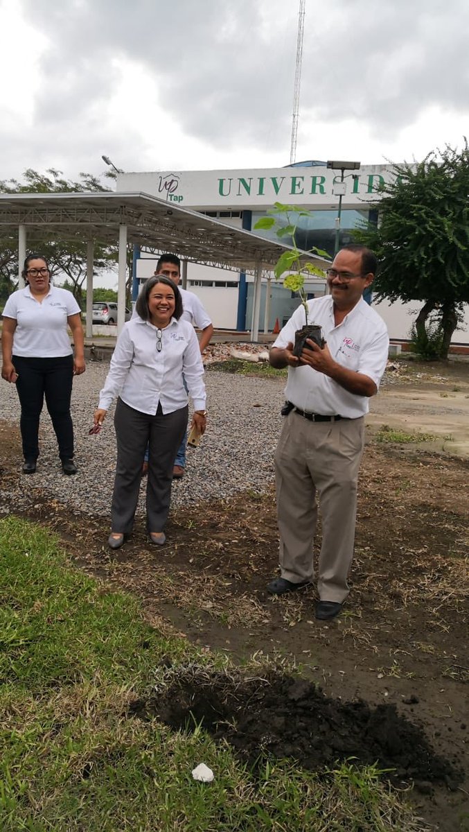 Paulownia_arbol's tweet photo. #UPTap #Tapachula #Chiapas https://t.co/kqV6zsoyYh