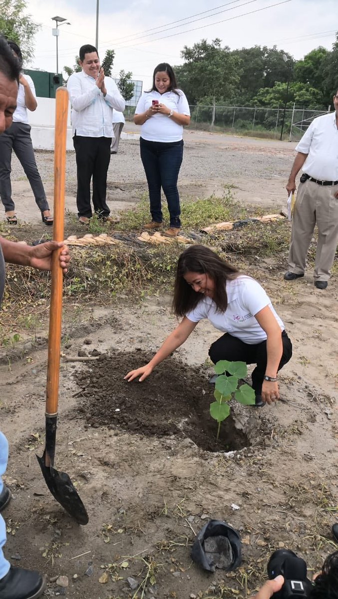 Paulownia_arbol's tweet photo. #UPTap #Tapachula #Chiapas https://t.co/kqV6zsoyYh