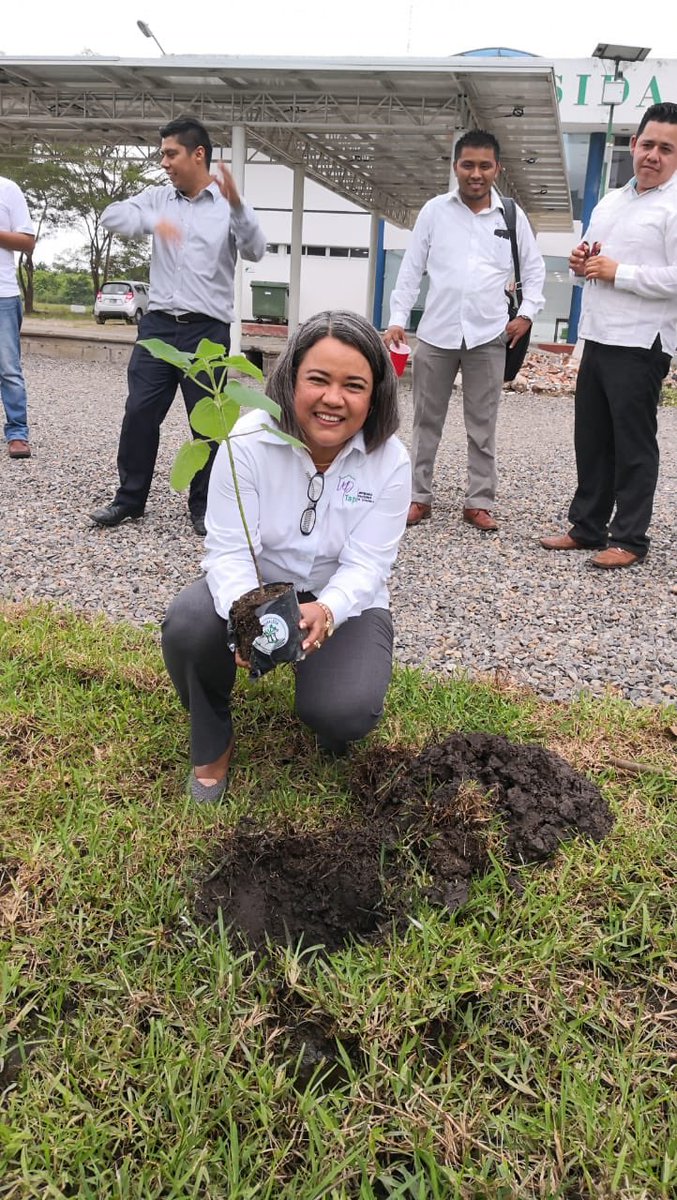 Paulownia_arbol's tweet photo. #UPTap #Tapachula #Chiapas https://t.co/kqV6zsoyYh