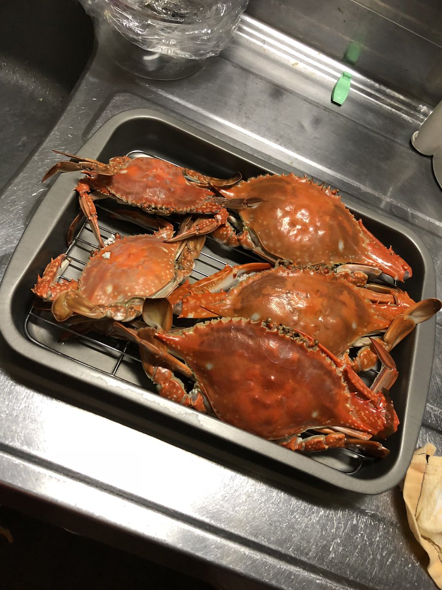 カニさん大量発生🦀