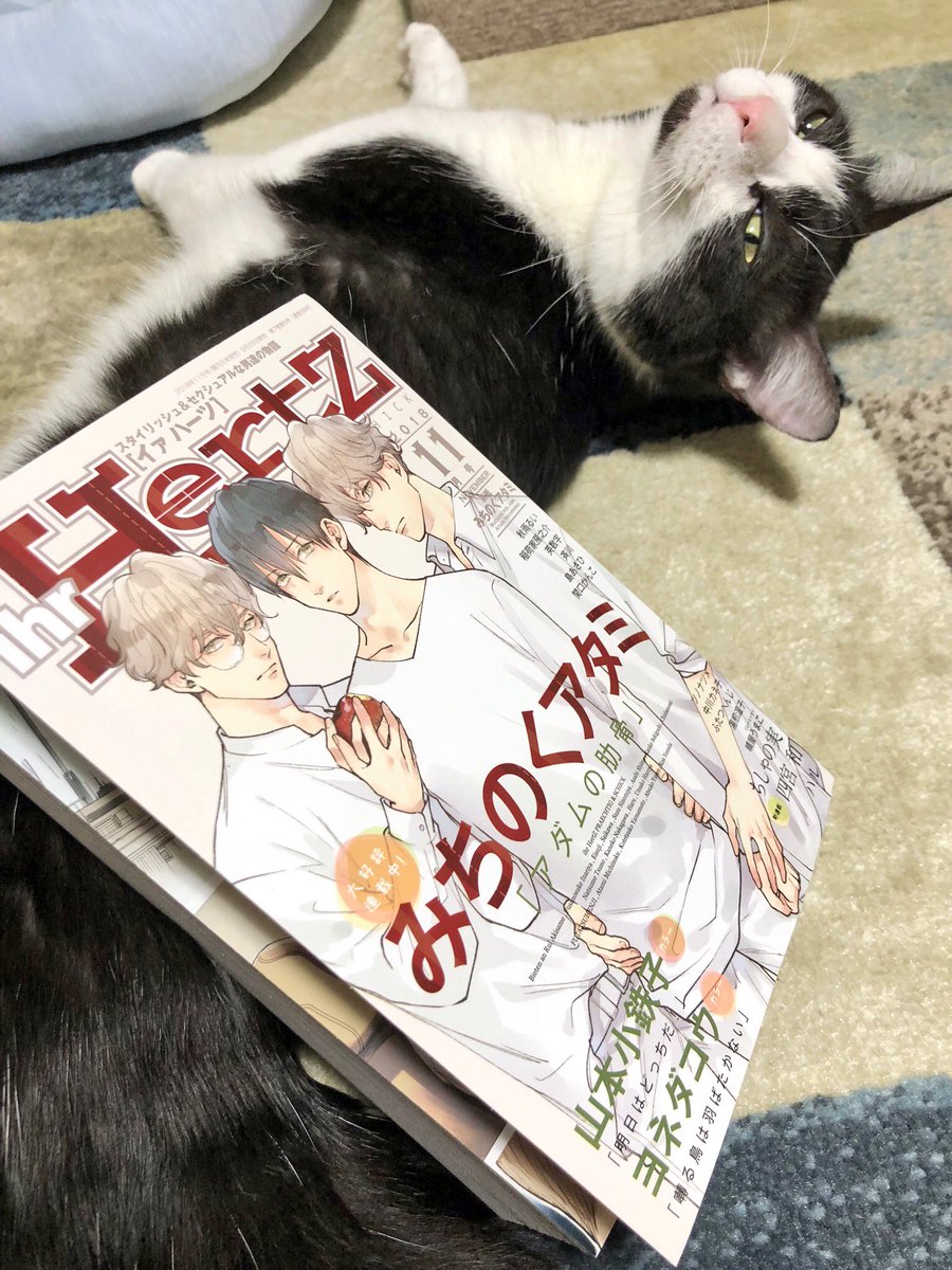 うお～イァハーツ届きました～。・*・:≡( ε:)今回のお気に入りシーンです 