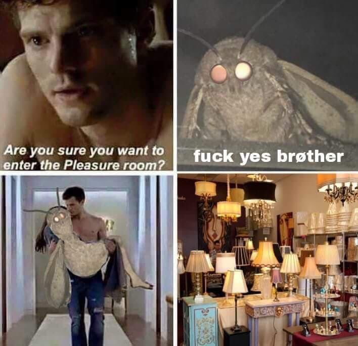 shorty_hg's tweet photo. I found this worst moth meme https://t.co/dC3AymsmWz