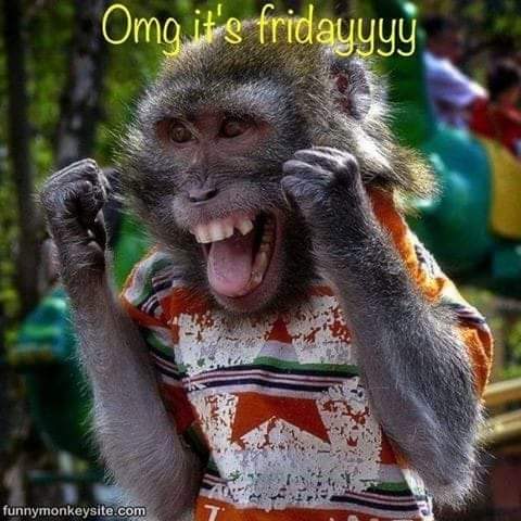 meera_muhunthan's tweet photo. Oh yes!!!! What a week! #Fridaybaby #weekendmischief https://t.co/mEUdqQACGv