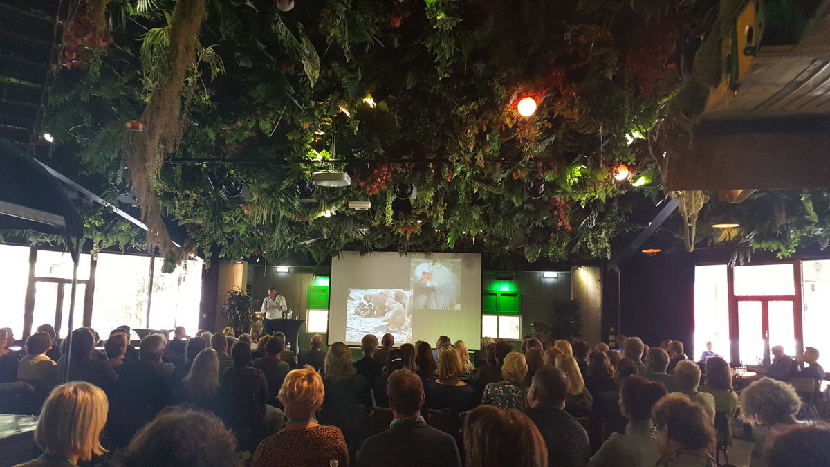 In Ouwehands bij een inspiratiedag van de SRPO om een dialoogtafel te begeleiden. Jungle in Trends!