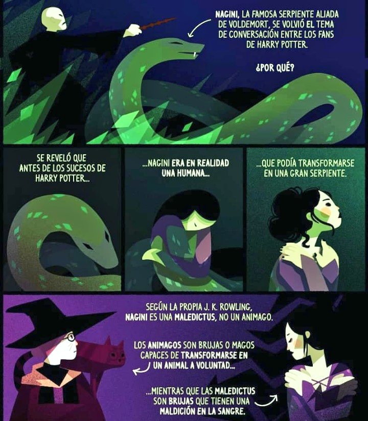 Yo no sé porque os habéis indignado por lo de Nagini, porque a mí me ha encantando, le da muchísimo juego a nuevas tramas y nuevos personajes para rol.

Y si es algo que no se explicó en la saga original a lo mejor es porque el propio Voldemort no se lo dijo a nadie.