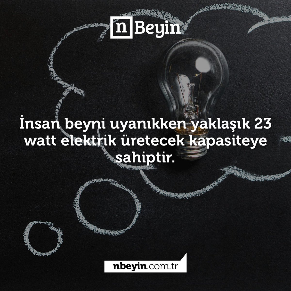 [n]Beyin (@nbeyin) on Twitter photo 